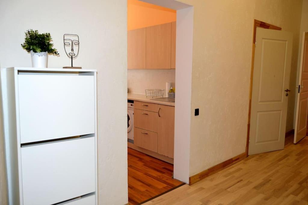 Spacious Old Town Family Peachy 2 Bedrooms Apartment, Nearby The Riga Presidential Castle Exteriér fotografie